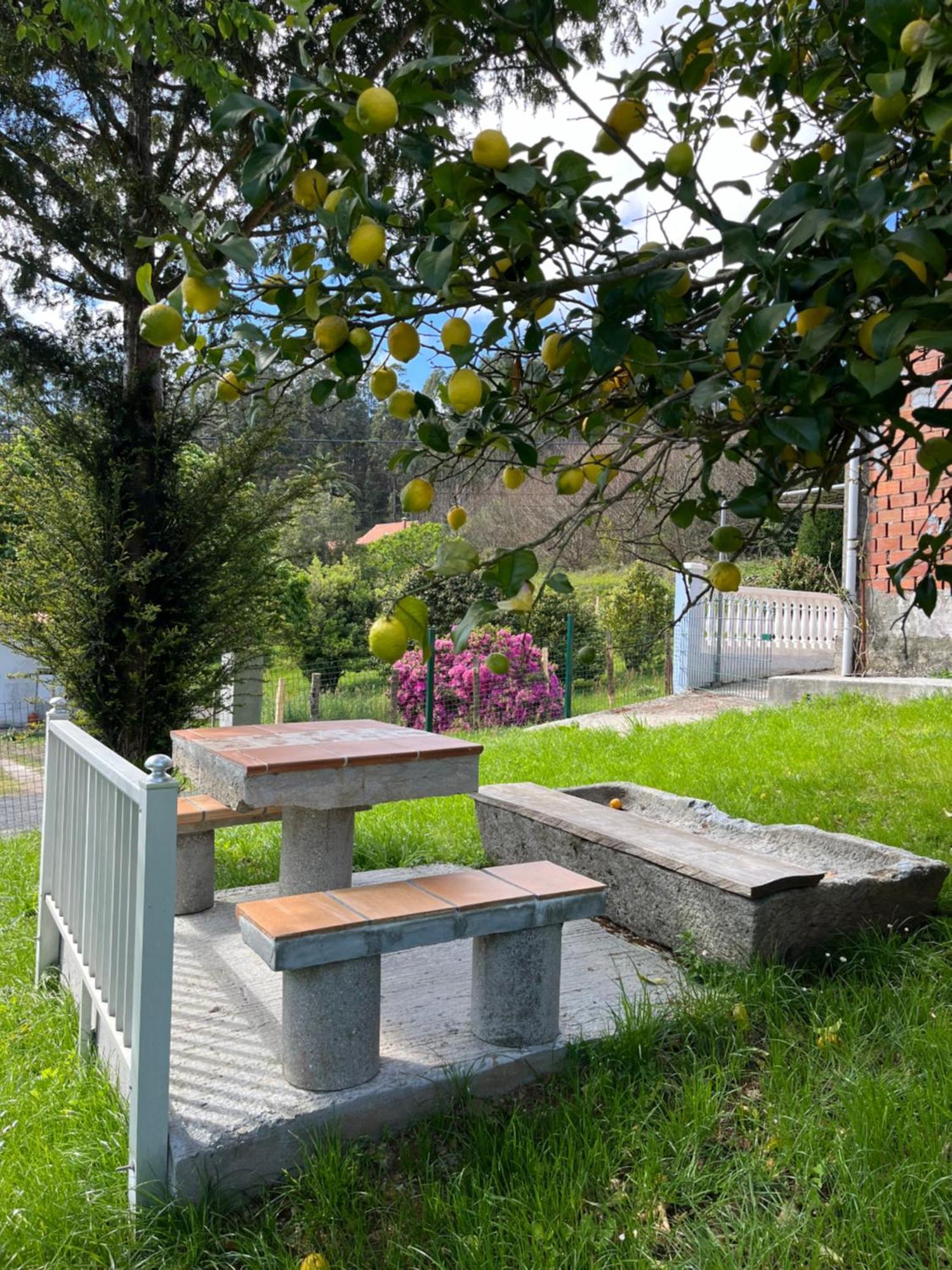San MartínCasa Marina别墅 外观 照片