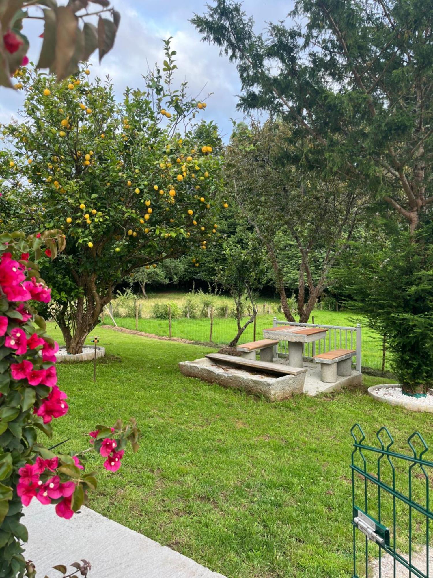 San MartínCasa Marina别墅 外观 照片